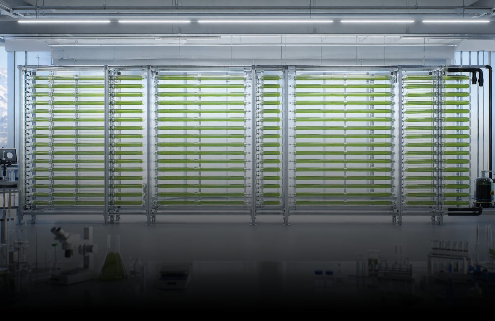 Laboratory with banks of green cultivation tubes behind a lab bench.